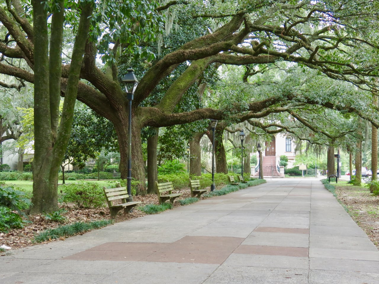 The Oaks of Savannah