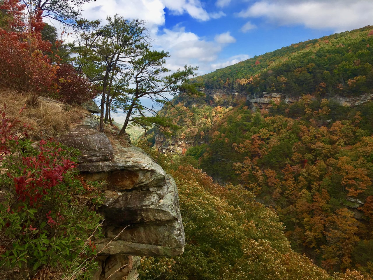 Cloudland Canyon in the fall.