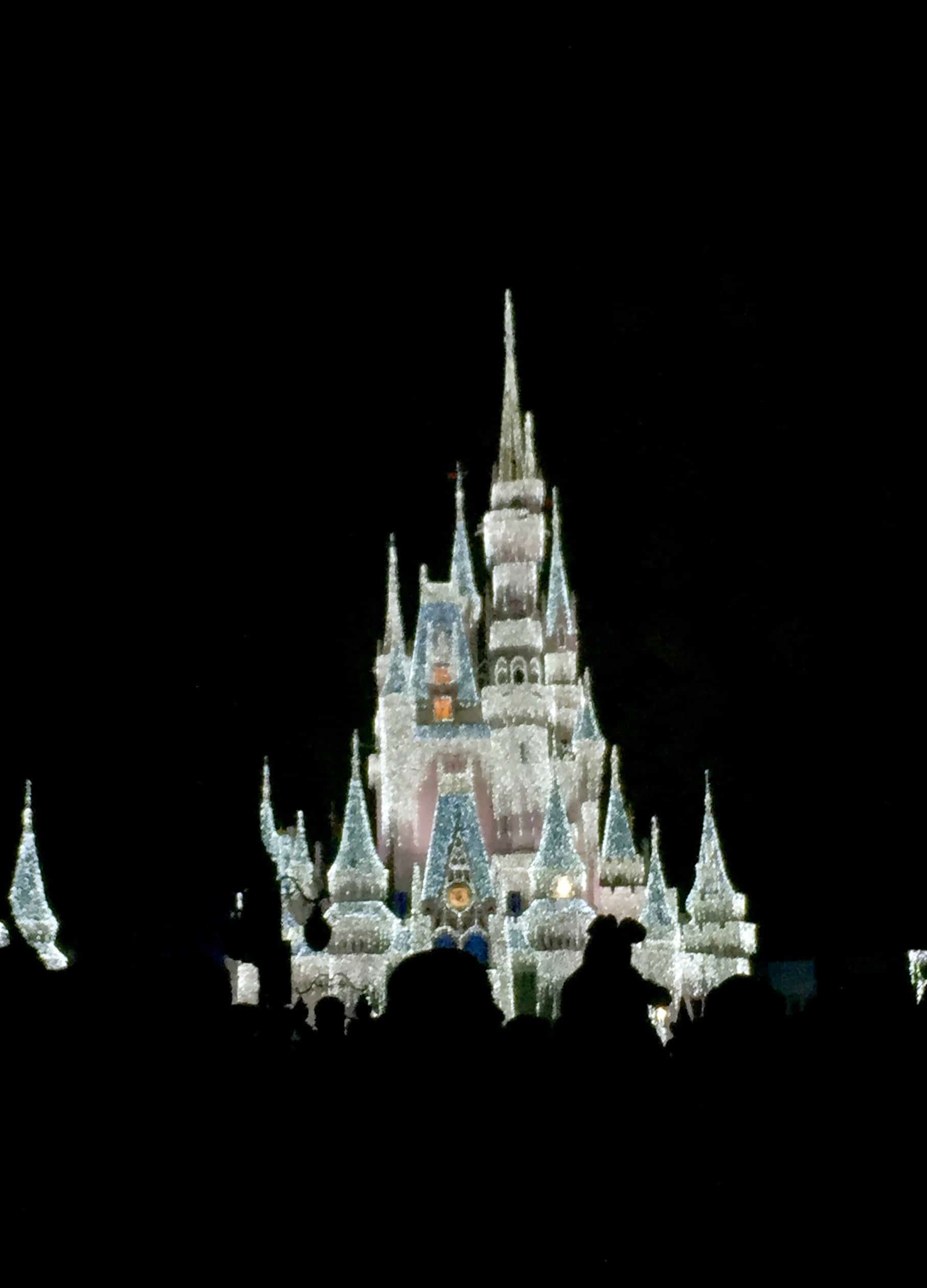 Cinderella's castle transformed by thousands of white lights