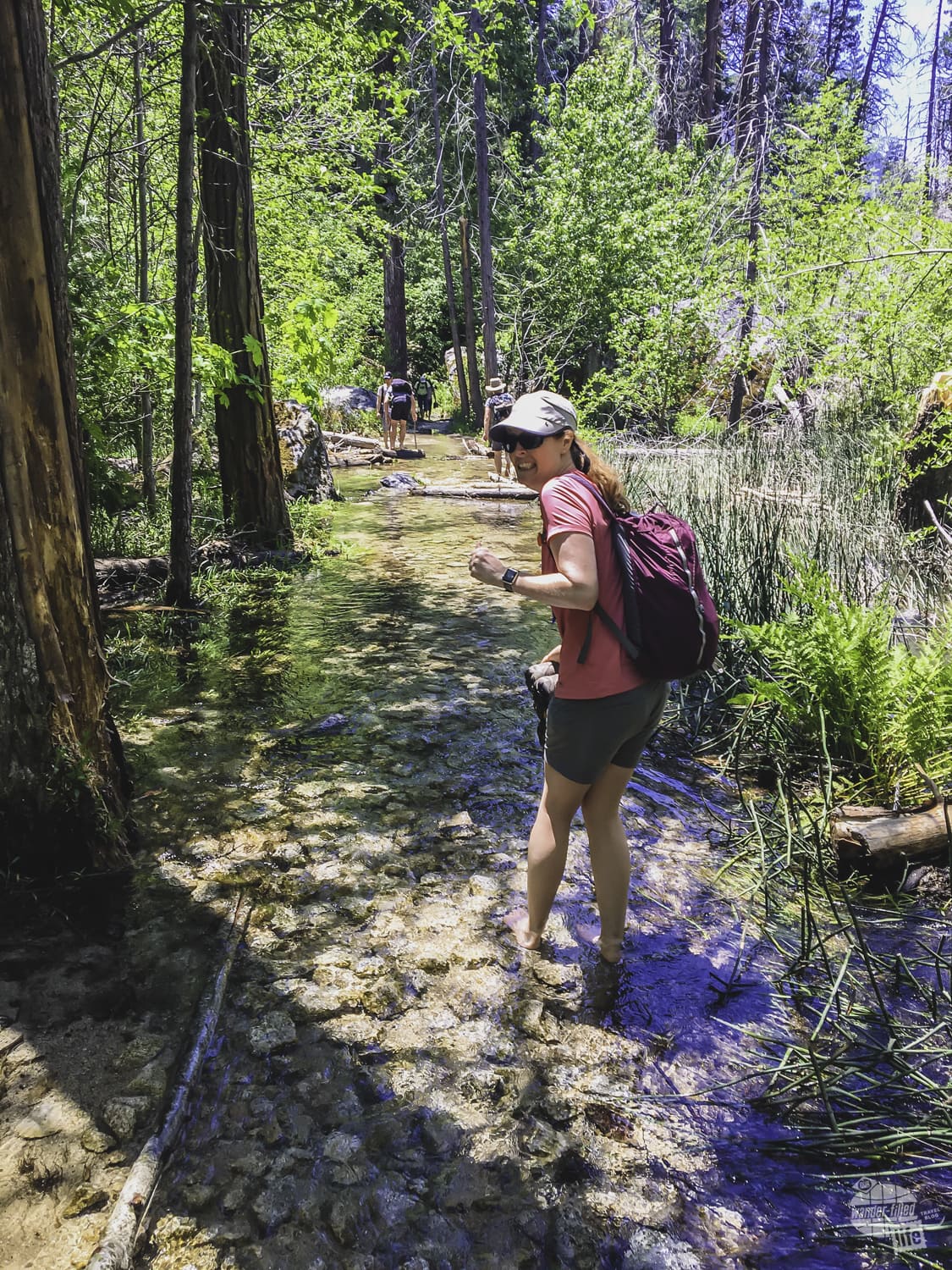 A cold water crossing on the Yosemite Valley Loop trail.