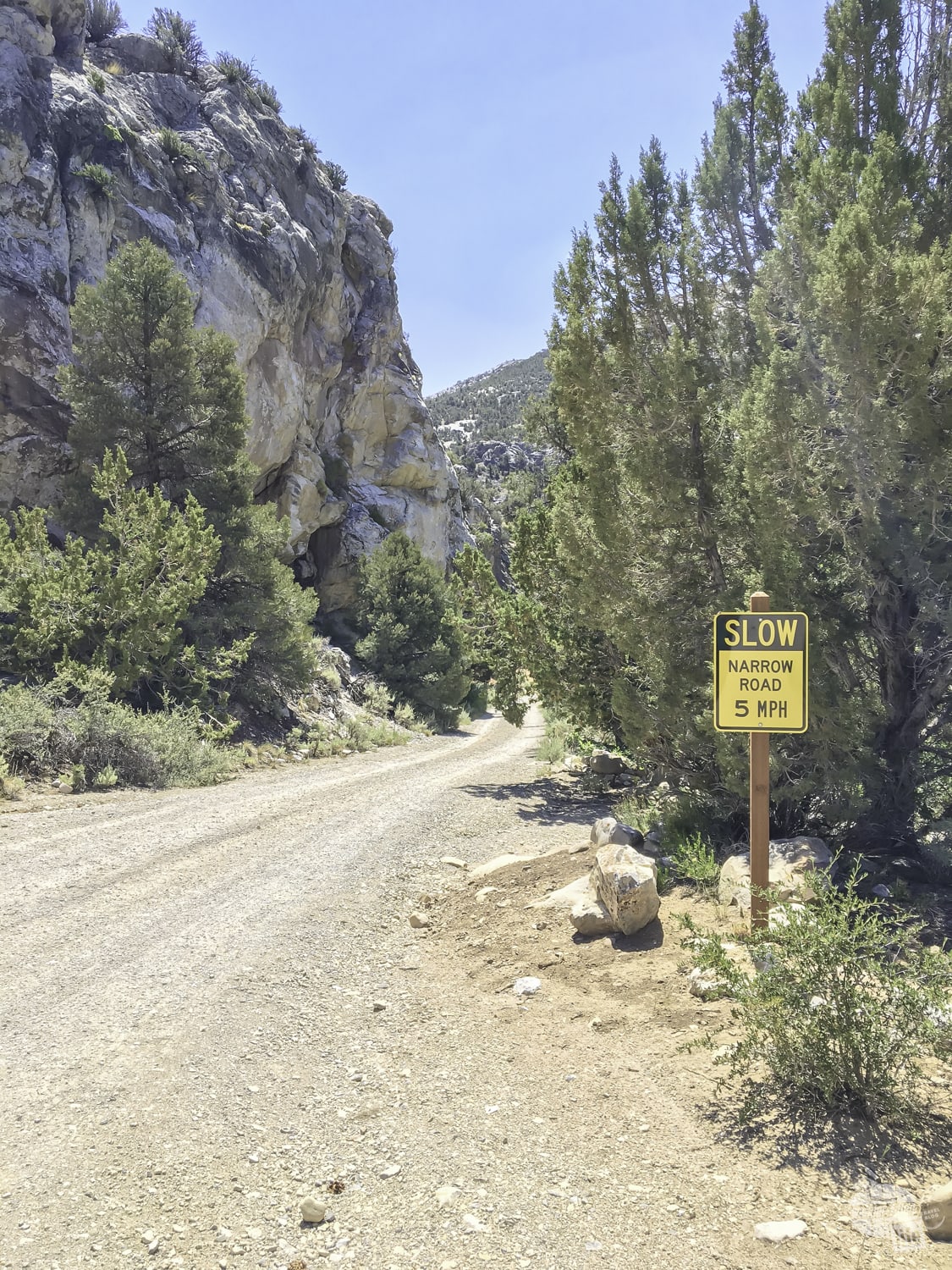 You can explore several dirt roads at Great Basin NP.