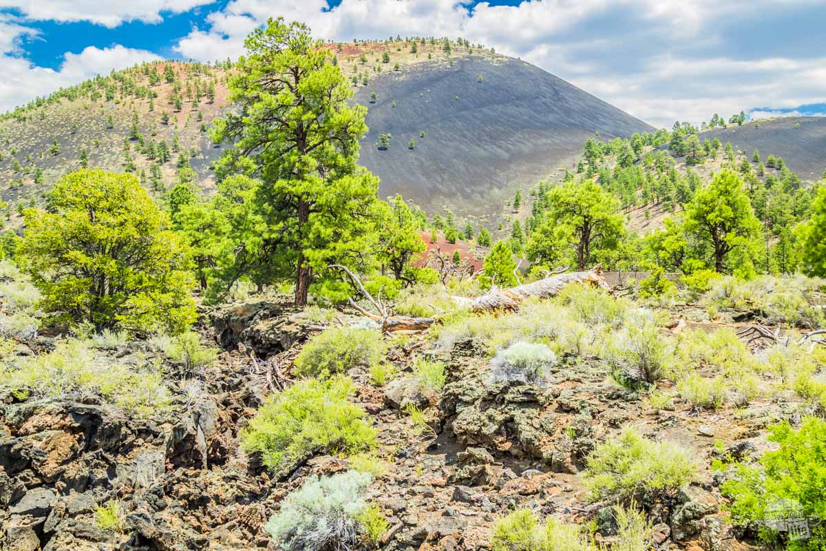 Sunset Crater Volcano still has large portions of its slopes covered in lava thousands of years since its last eruption.