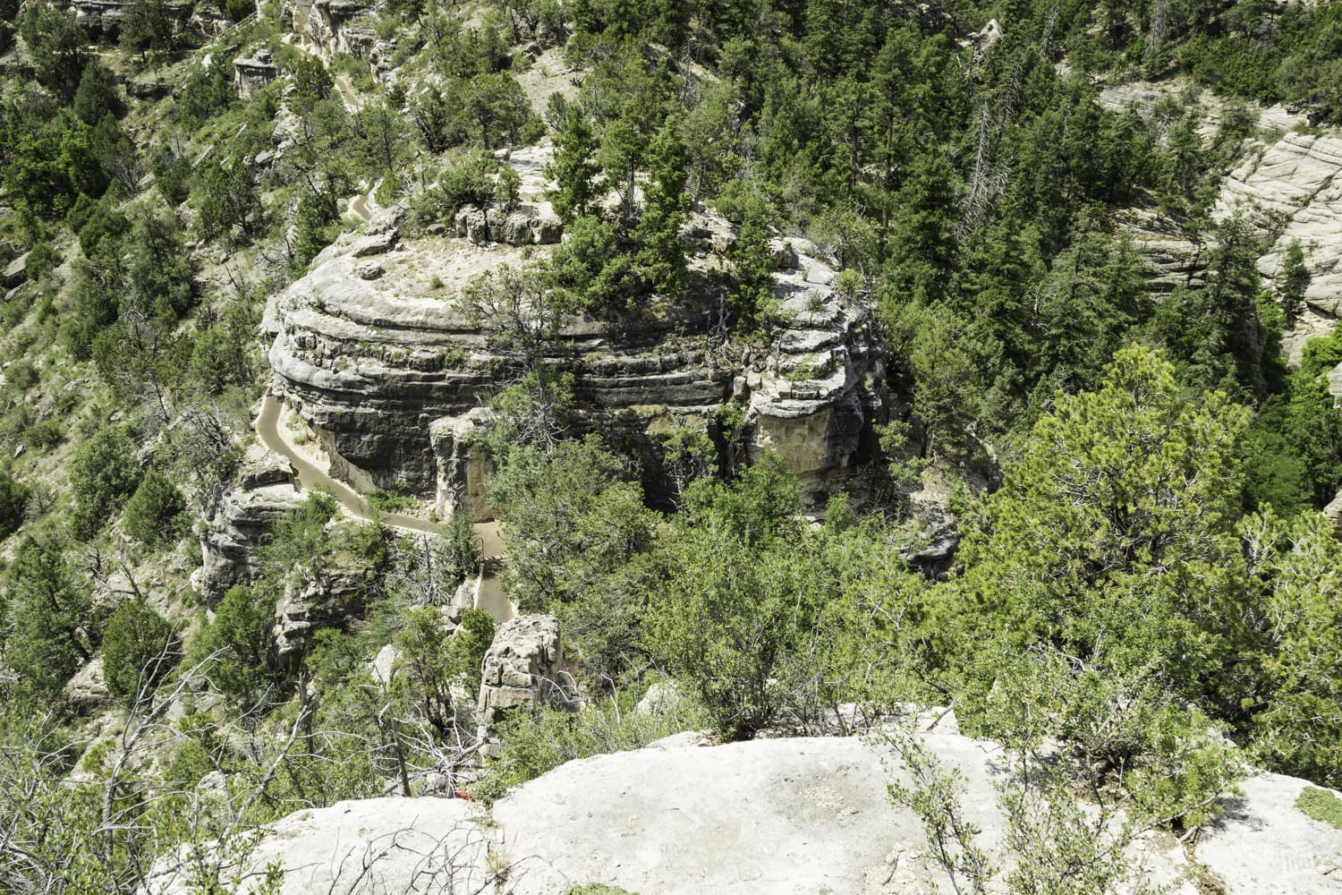 The Island Trail in Walnut Canyon National Monument