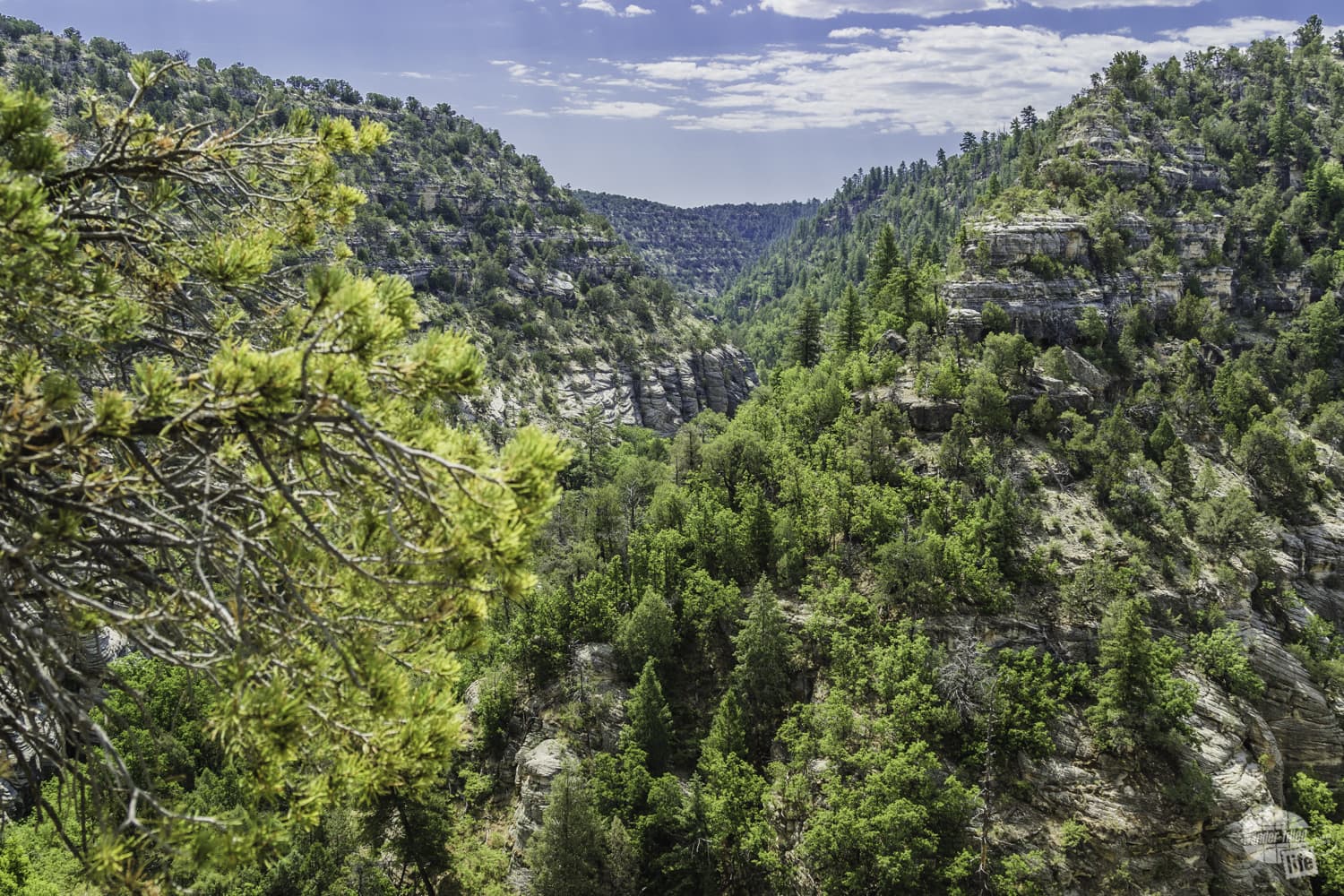 Walnut Canyon National Monument is one of three national monuments in the Flagstaff area.