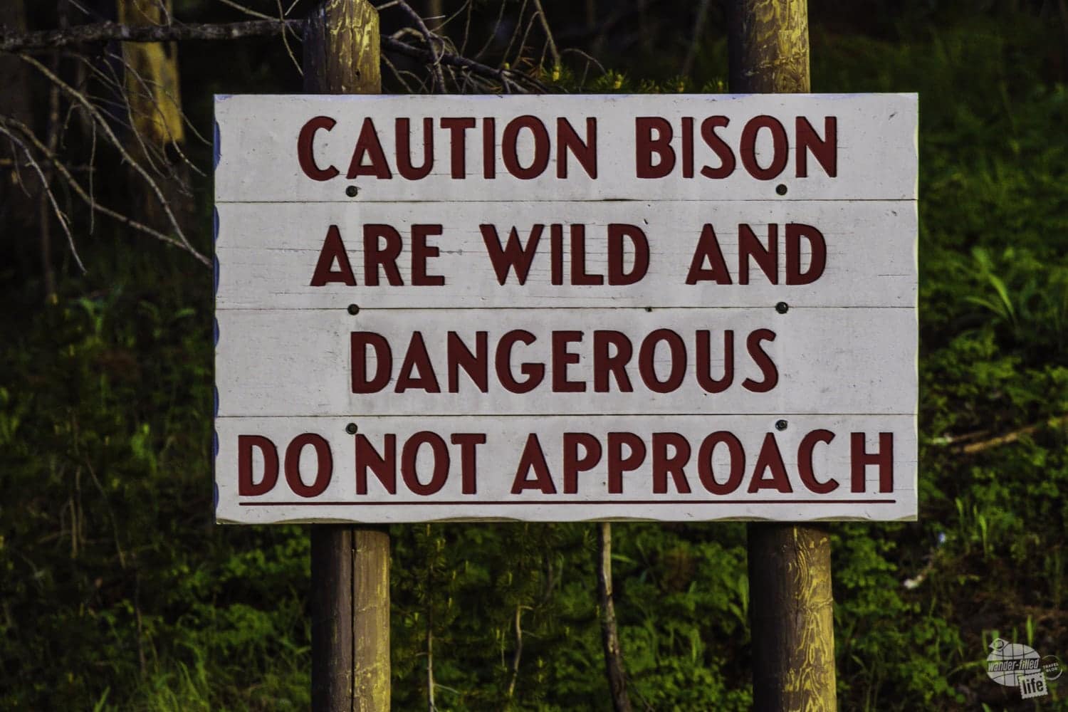 Yellowstone signs remind you to be careful with wildlife.