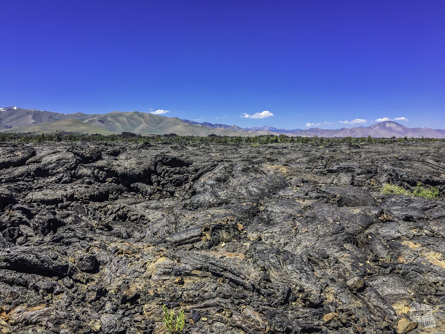 Lava fields at Craters of the Moon National Monument