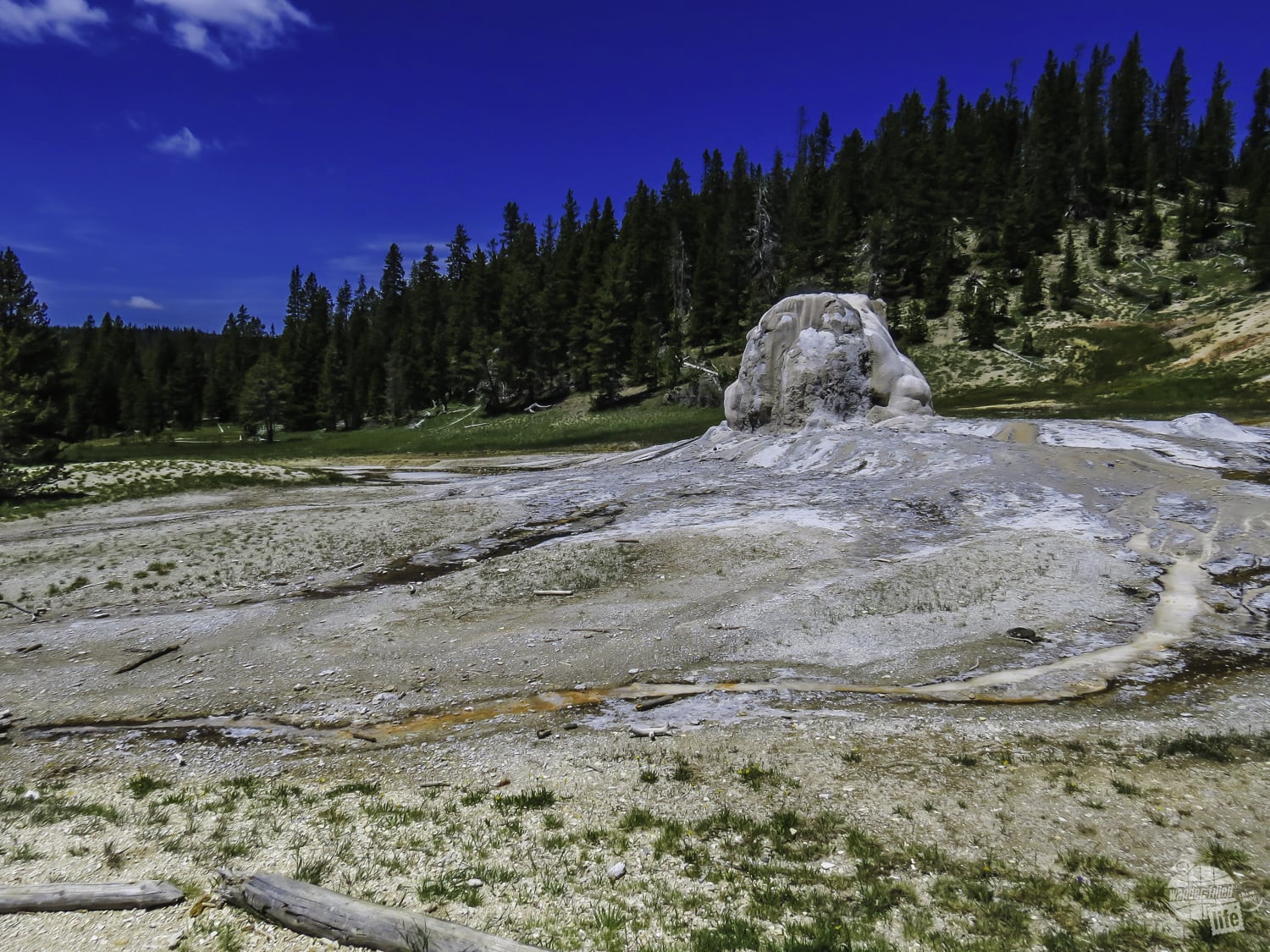 Lone Star Geyser is one of our favorite easy Yellowstone hikes.