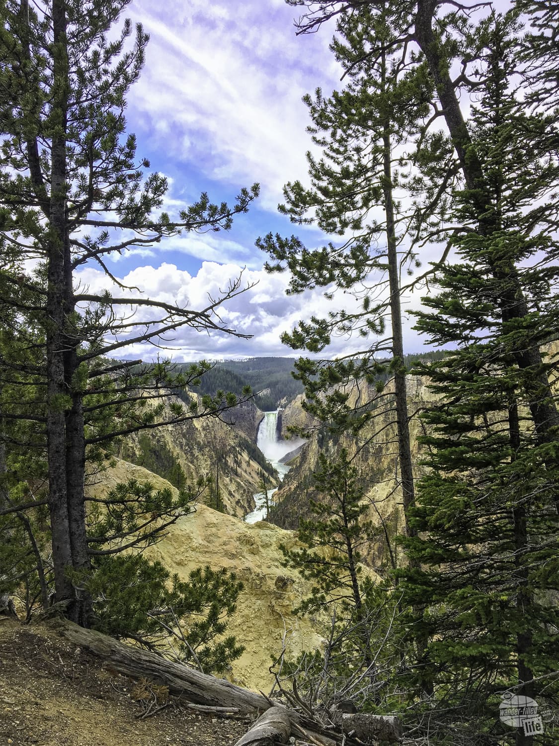 Lower Falls at Yellowstone National Park