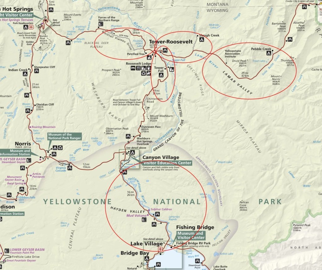 Our best areas for spotting wildlife in Yellowstone National Park