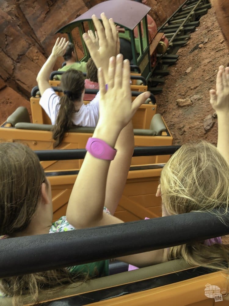 Don't forget to select Fastpasses when planning your Disney trip.