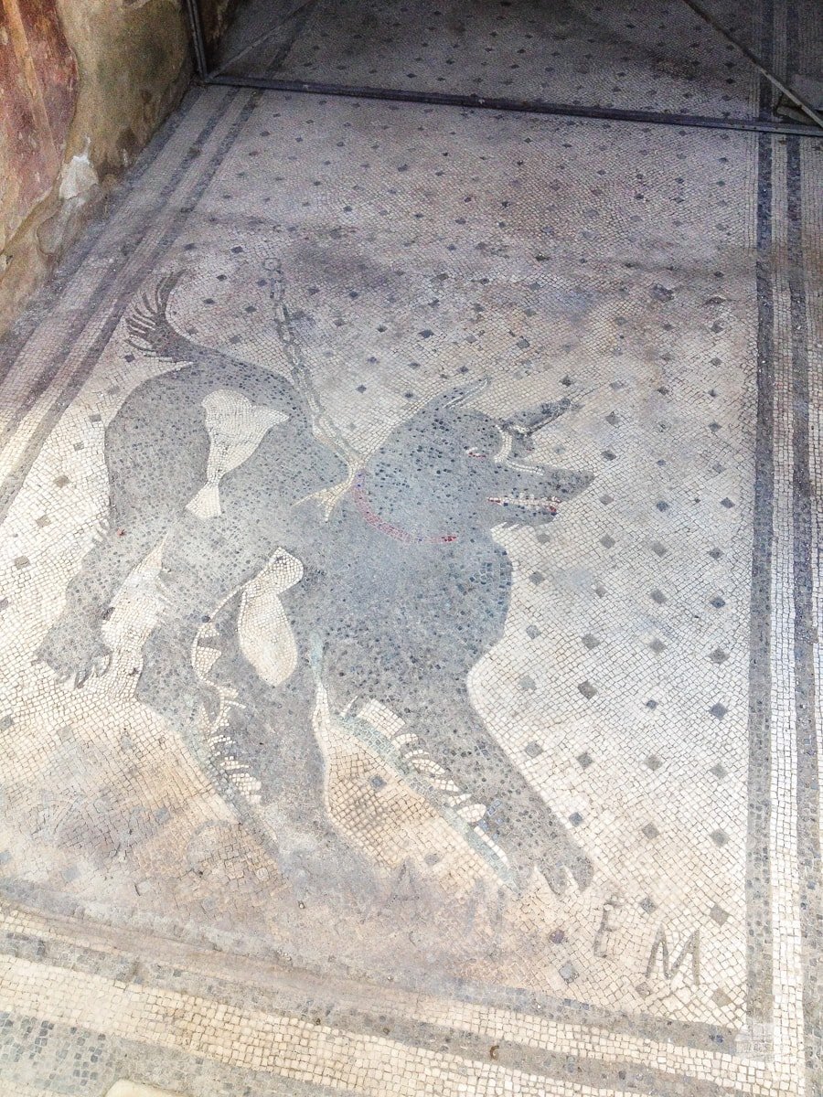 The famous mosaic in Pompeii. It means "Beware of the dog."