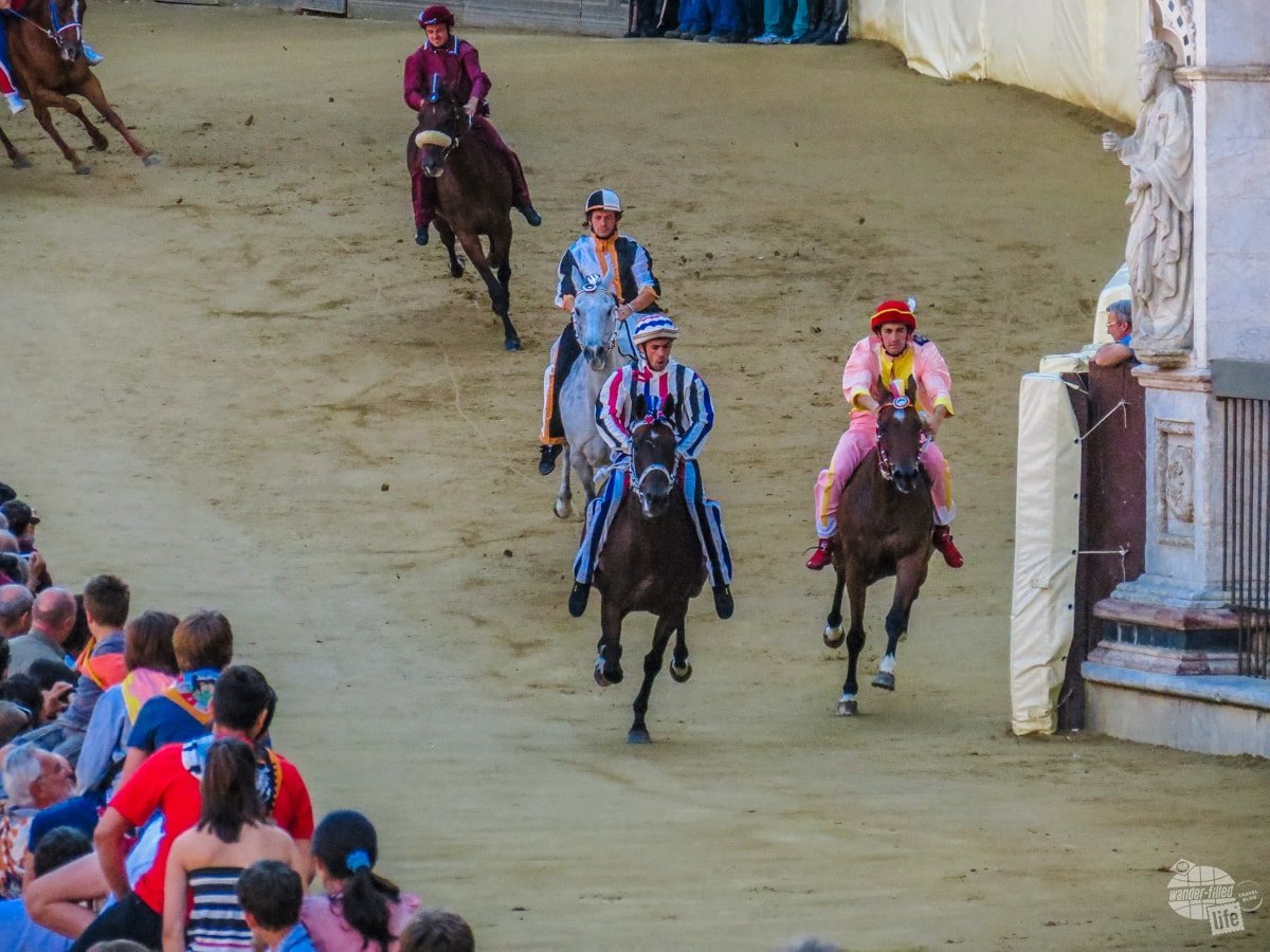 A trial run for The Palio.