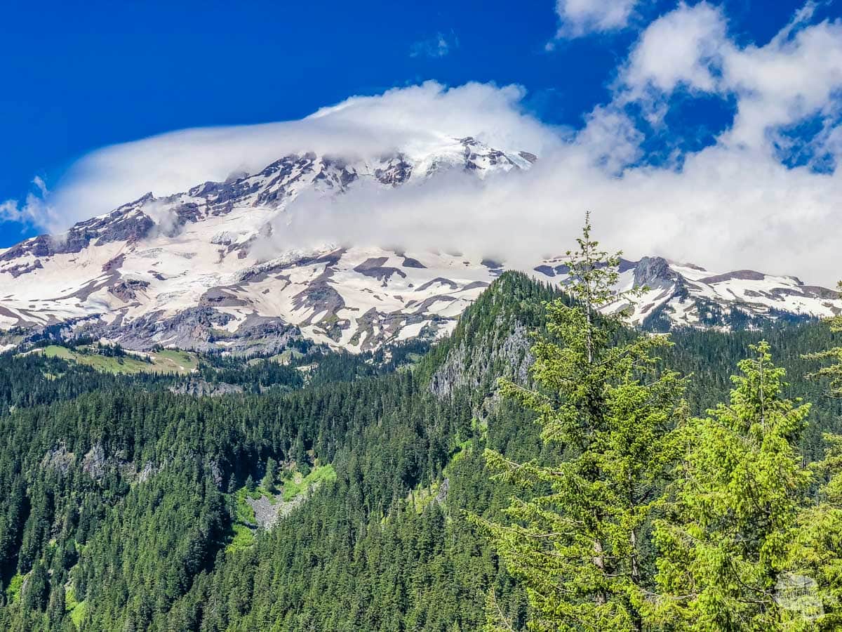 Three Days Immersed in Mt. Rainier National Park - Our Wander-Filled Life