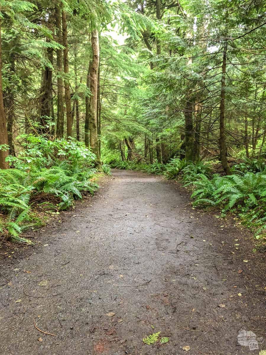 The trail out to Cape Flattery