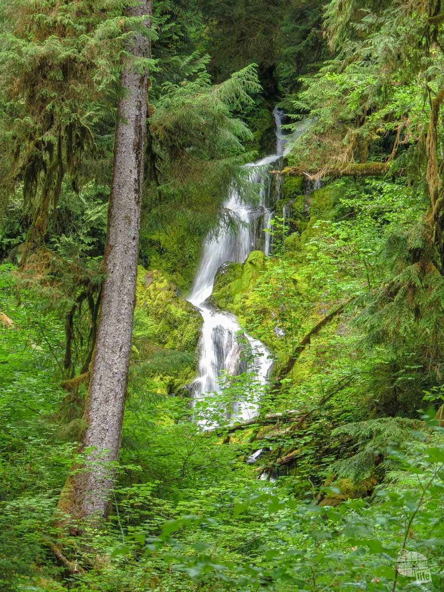 Mineral Creek Falls