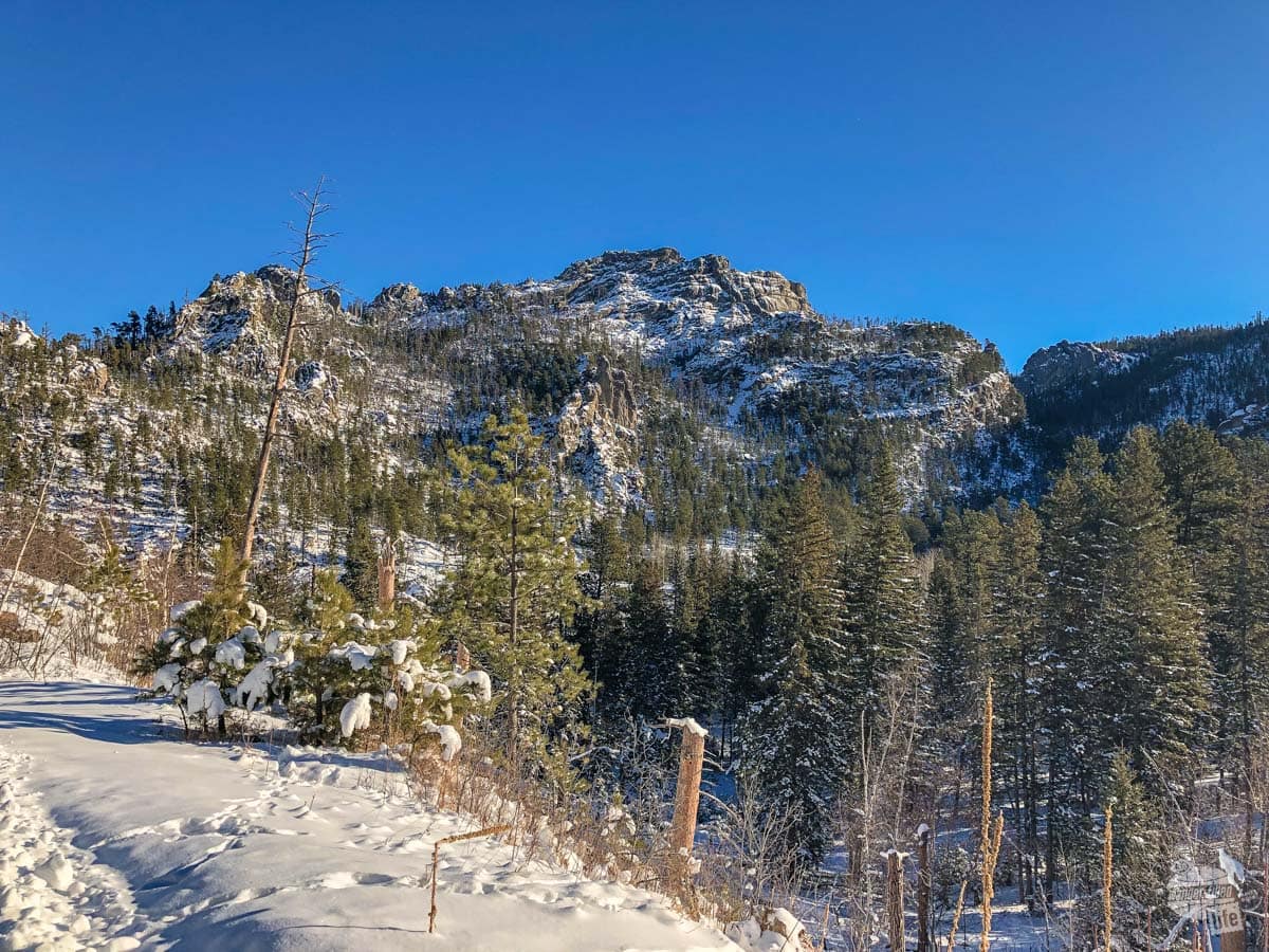 Black Hills in the winter