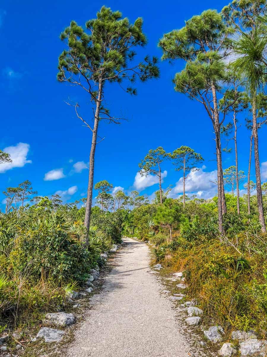 Walking to the caves in Lucayan National Park.