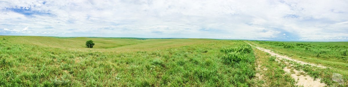 Tallgrass Prairie panorama