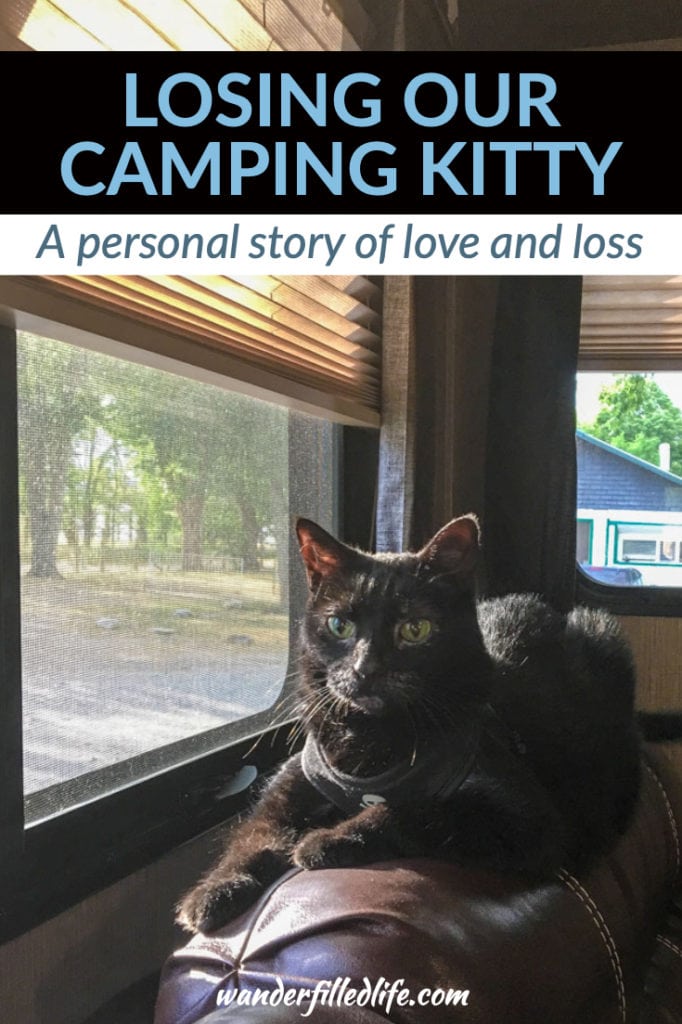 A very personal story of losing our cat, Alee, to cancer. She was Grant's cat for nearly 15 years and losing her has been emotionally tough.