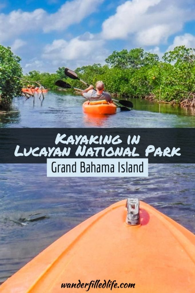 With caves, mangroves and a beautiful beach, kayaking in Lucayan National Park on Grand Bahama Island is a shore excursion worth the money!
