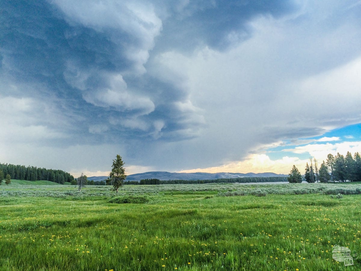 A storm rolling into Yellowstone National Park.