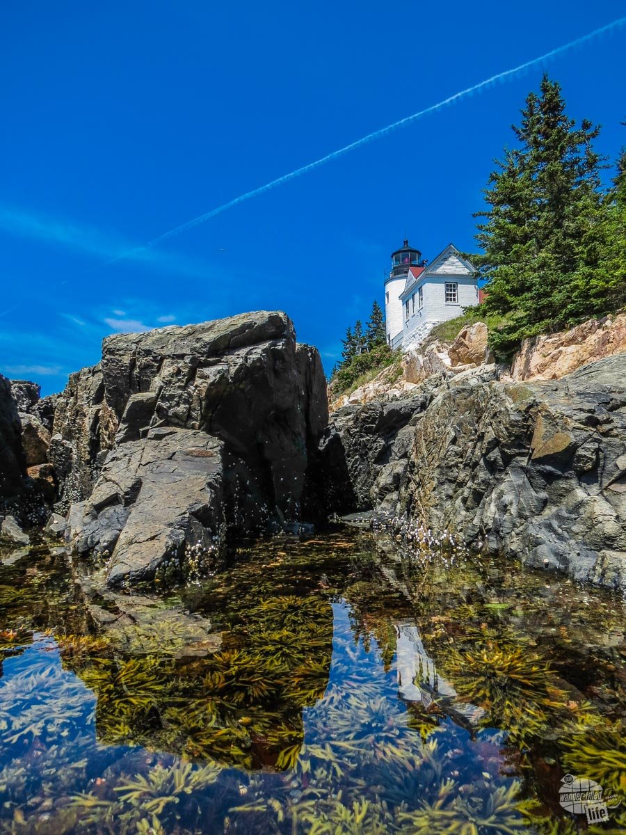 The Bass Harbor Head Lighthouse is one of the most photographed lighthouses in the world.