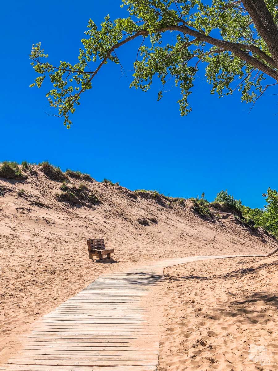 A bench on the dunes