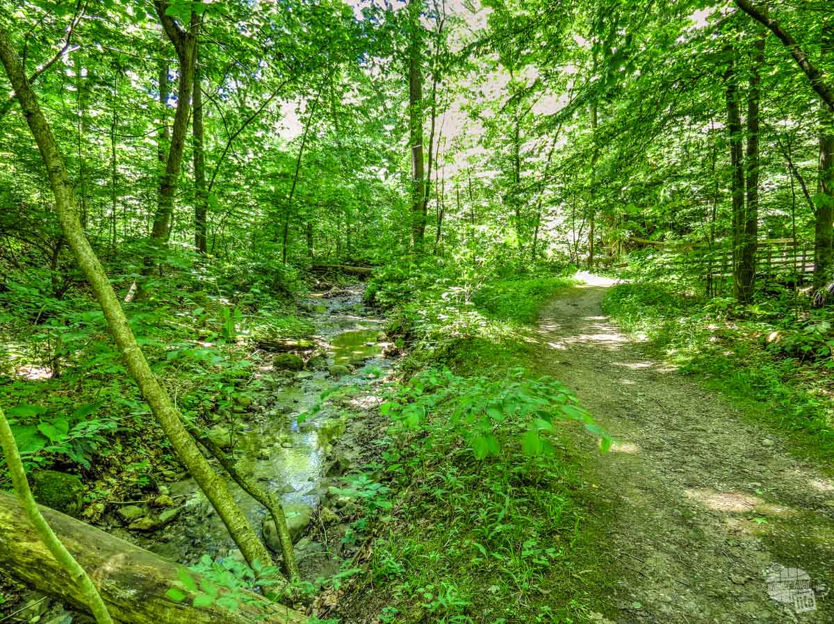 Boston Run Trail is a great place to escape the crowds in Cuyahoga Valley National Park.
