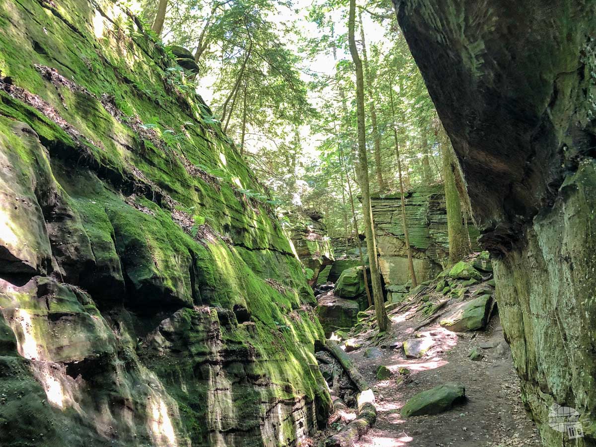 The Ledges Trail in Cuyahoga Valley National Park.