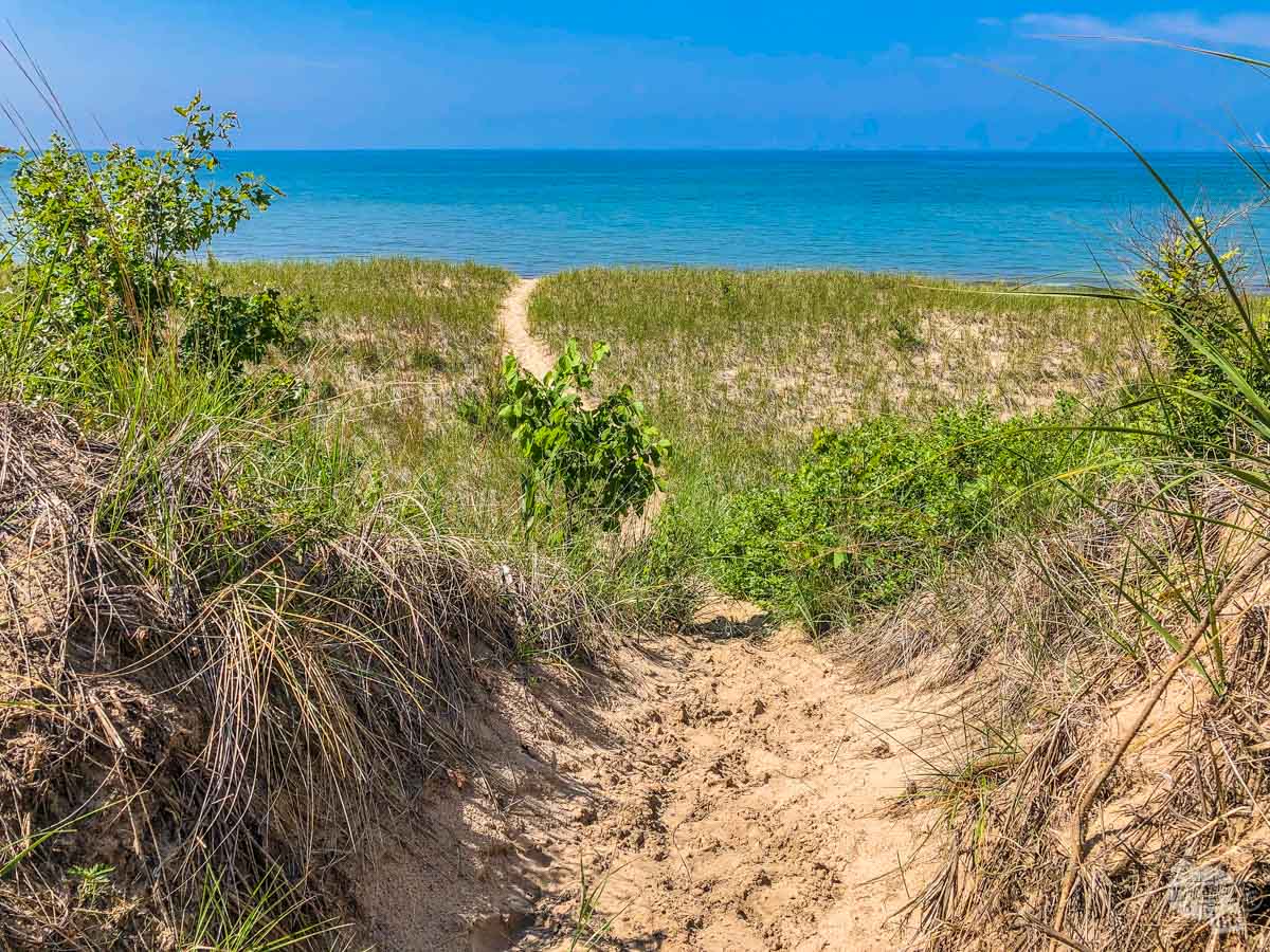 Trail to the beach along Lake Michigan at Indiana Dunes National Park.