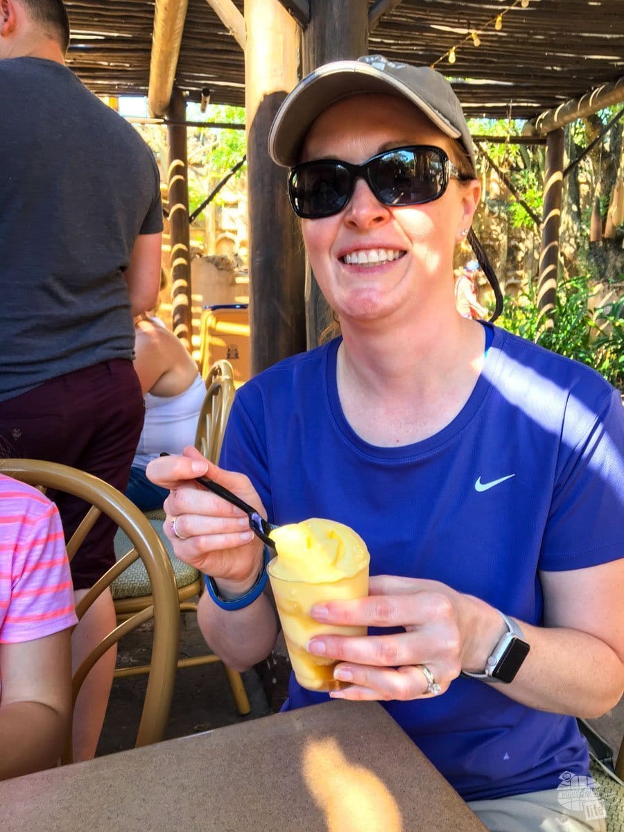 If there is one treat you simply must not miss at Disney World, a Dole Whip is it. A whipped pineapple concoction, served with or without rum, is THE treat on a hot day.