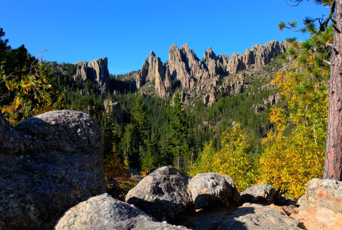 The rugged Cathedral Spires along the Needles Highway in Custer State Park.
