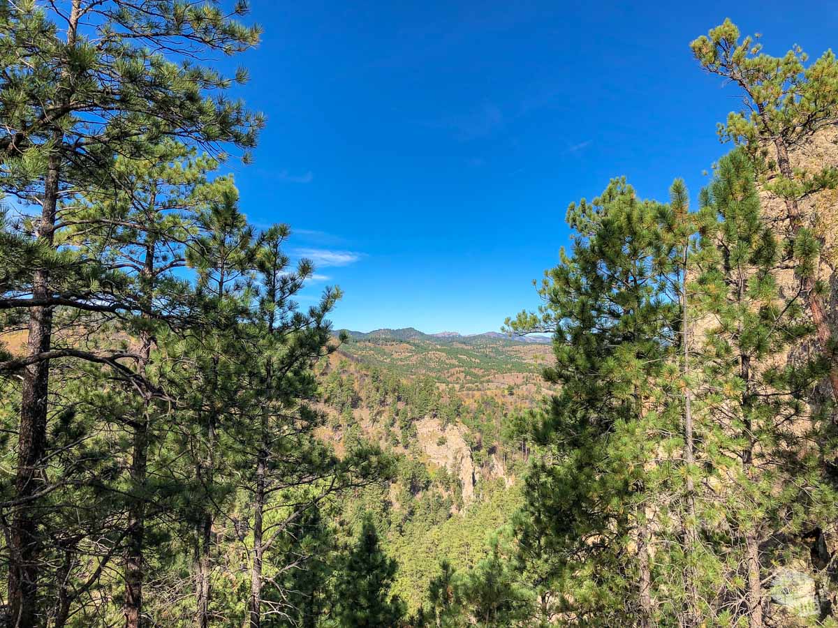 The Black Hills from Lover's Leap in Custer State Park.