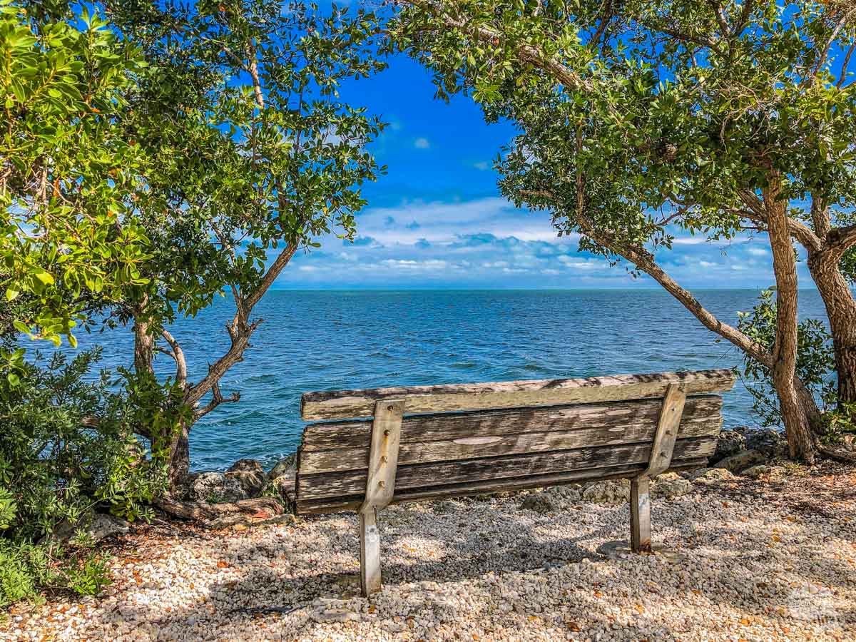 A bench overlooking Biscayne Bay along the nature trail by the Visitor Center at Biscayne National Park.