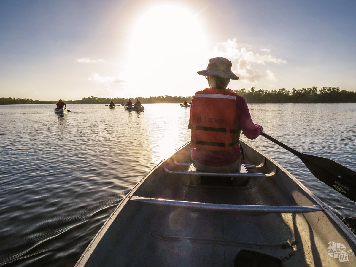 Bonnie paddling out on Nine Mile Pond, one of the coolest things to do in the Everglades.