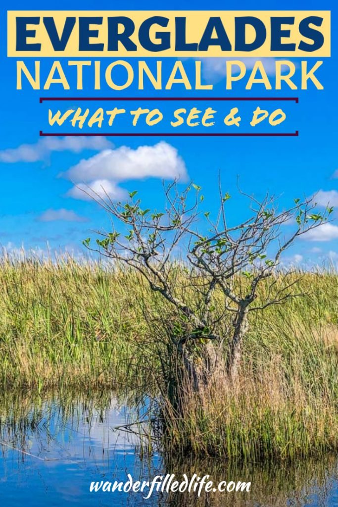 Our complete guide of things to do in the Everglades. Whether you have one day or three, you can stay busy in the Everglades and Big Cypress NP.