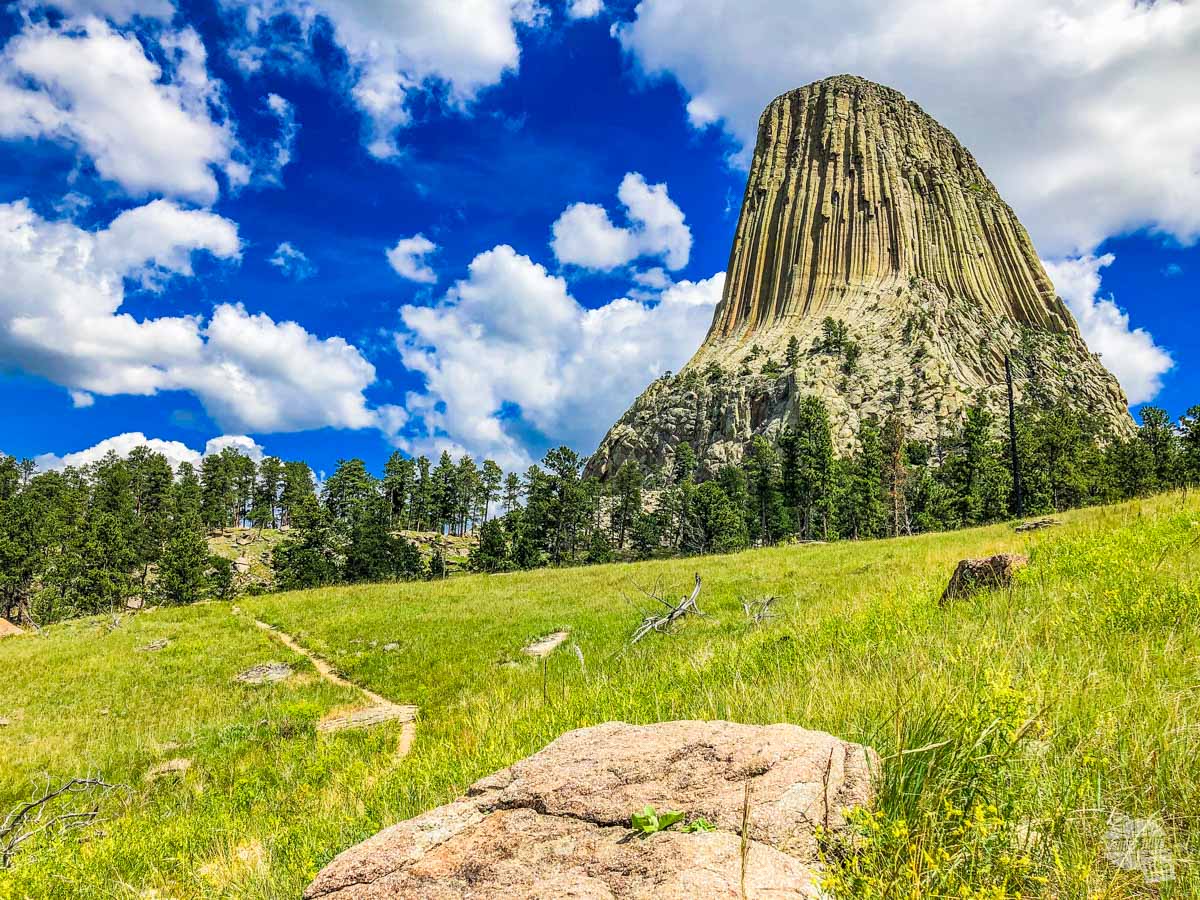 Devils Tower emerging from the prairie and trees.