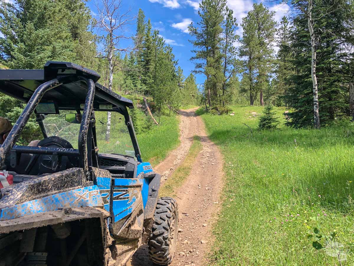 The remote ATV trail through the Black Hills National Forest.