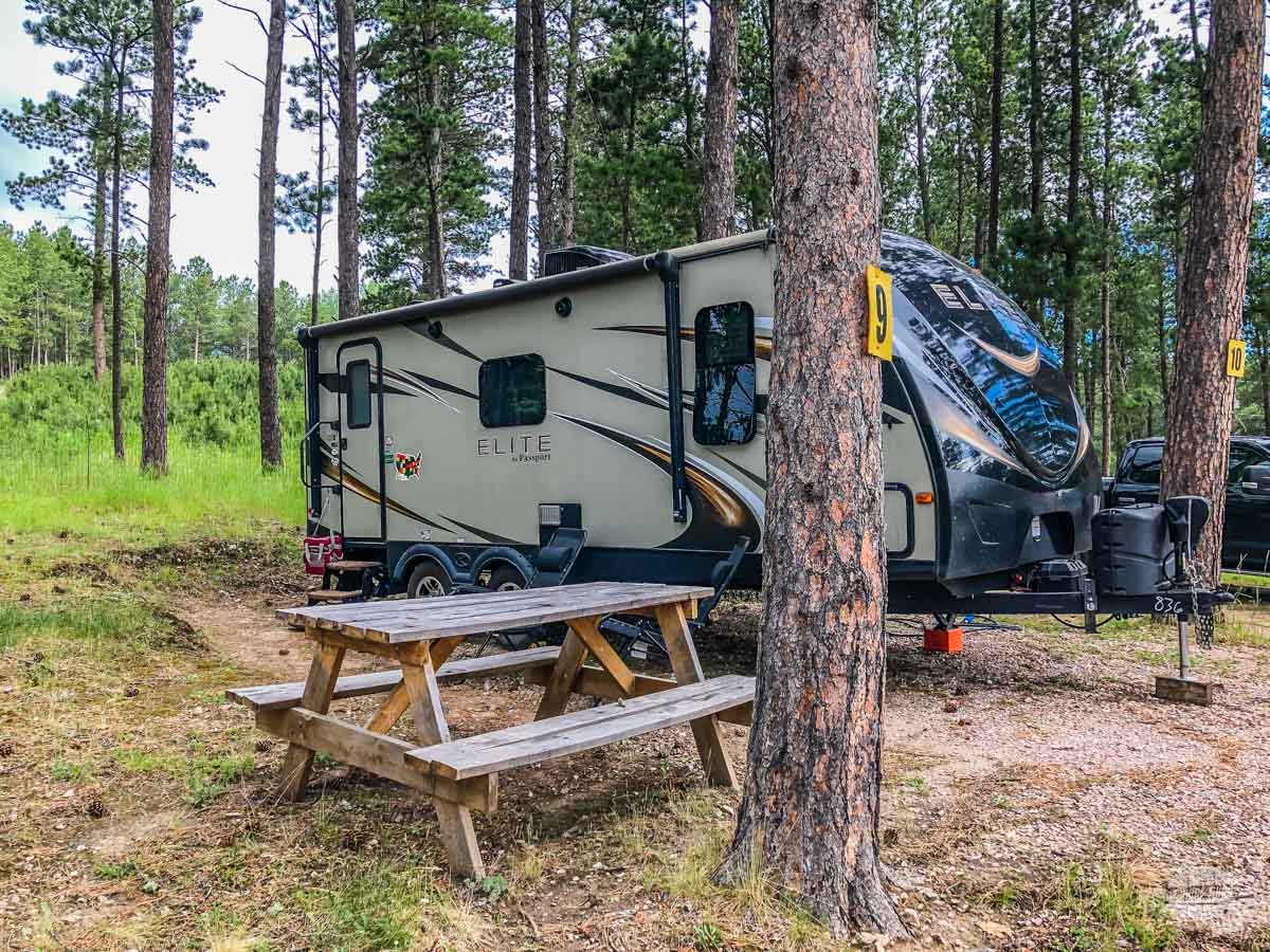 Big Pine Campground in Custer, SD