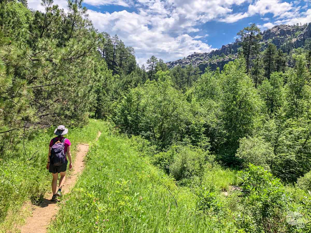 There's tons of great hiking trails in the Black Hills.