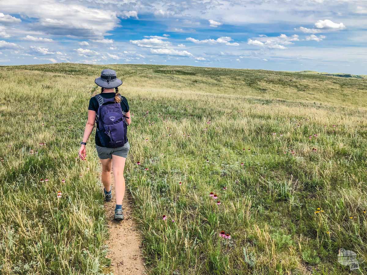 A hike through the grassy plains is a nice way to stretch your legs.