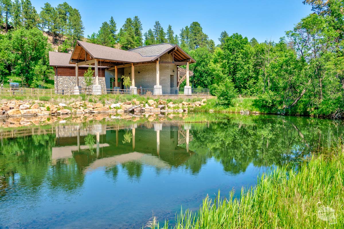 A stop at the visitor center is one of our top things to do in Custer State Park.