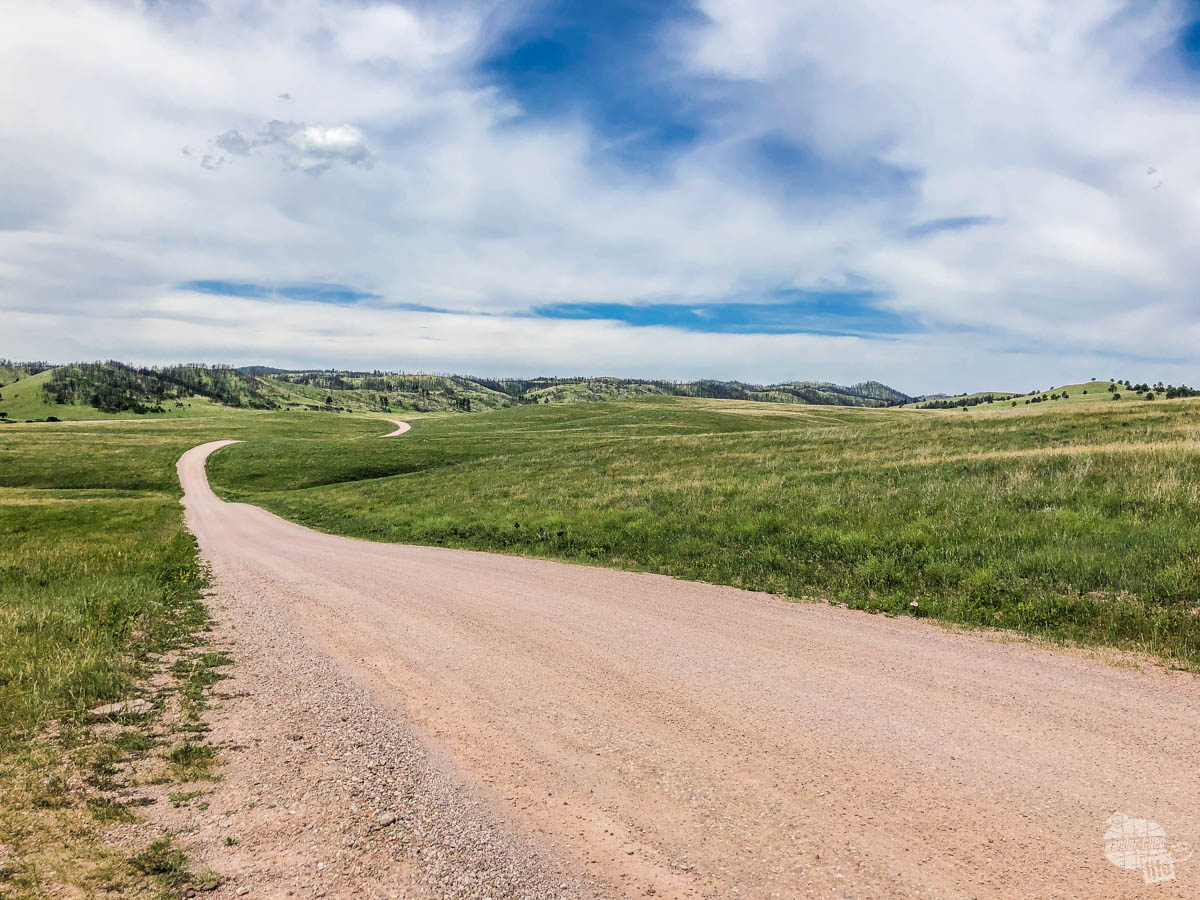 One of the dirt roads in Custer State Park