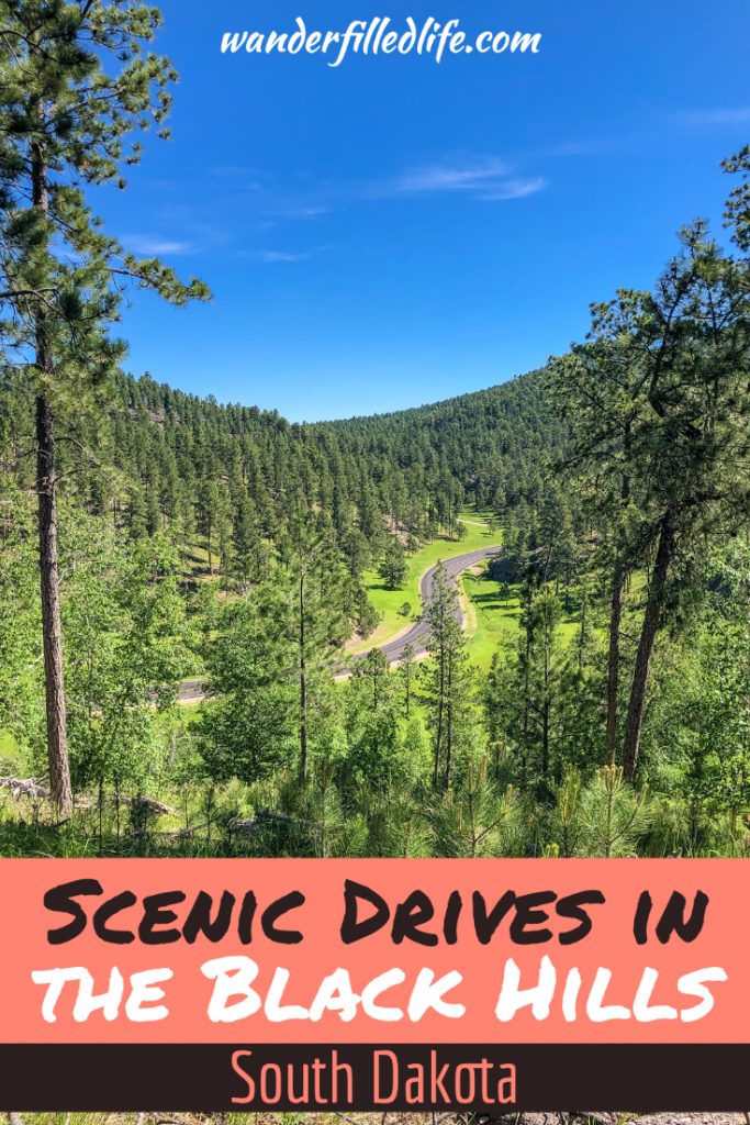 Driving the scenic drives in the Black Hills is one of the best ways to experience the multitude of beauty and wildlife found in this unique place.