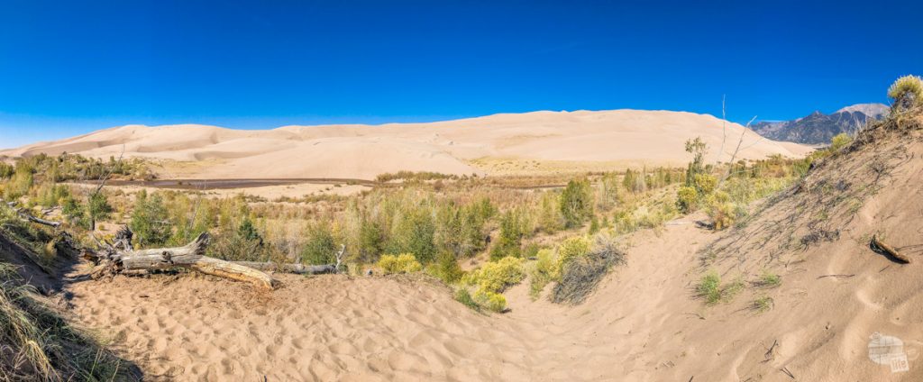 Great Sand Dunes panorama