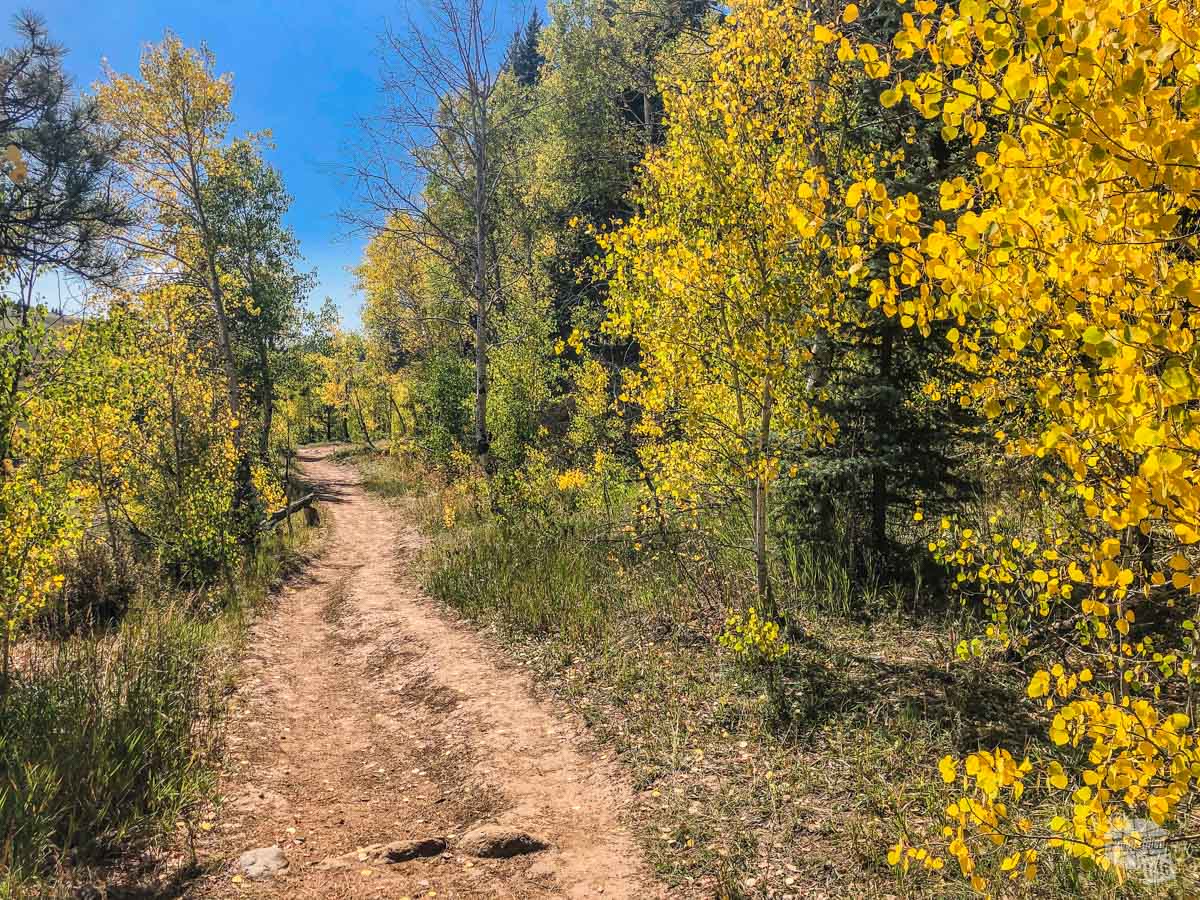The early fall colors really are spectacular along the Piedra River Trail.