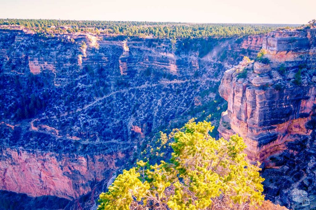 The Bright Angel trail in the Grand Canyon.