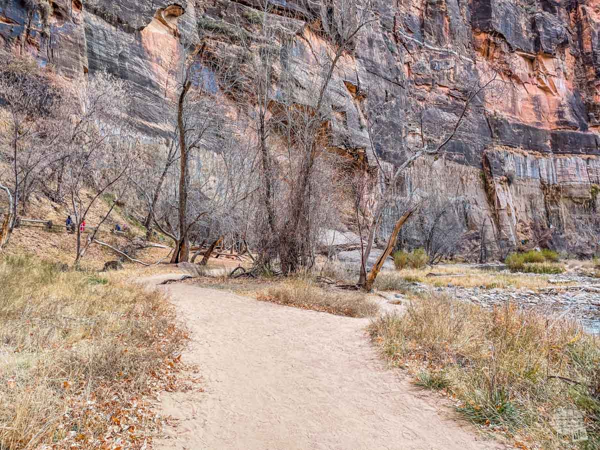Hiking trail along the Virgin River at Zion National Park.