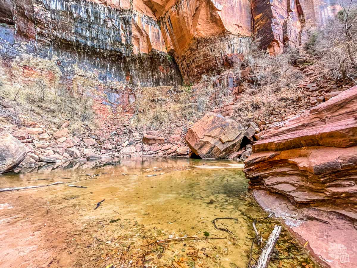 Upper Emerald Pool at Zion National Park in the winter.