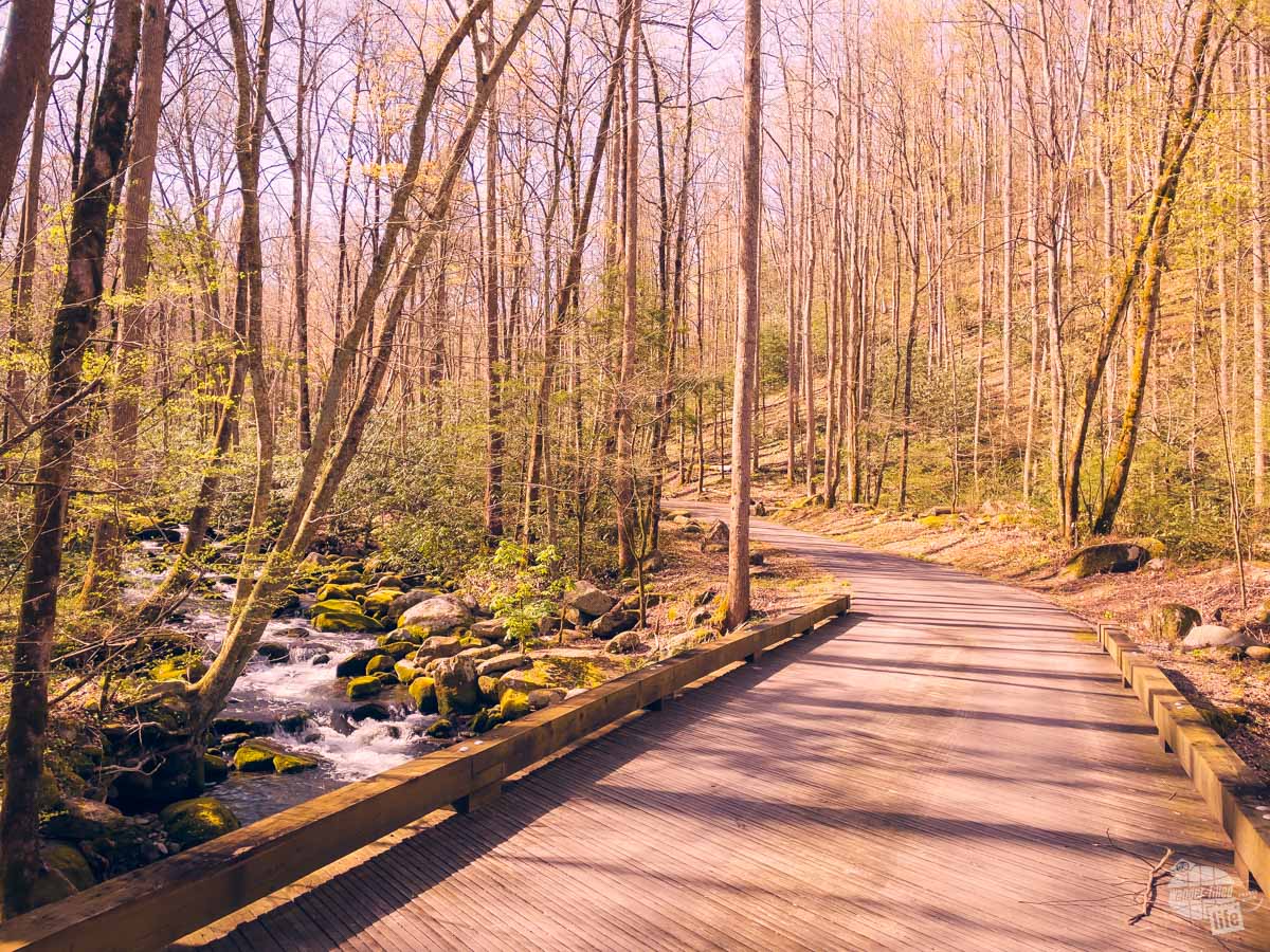 Roaring Fork Motor Nature Trail at Great Smoky Mountains NP